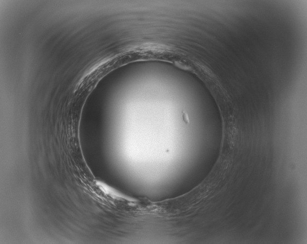 X0000086111112200703231454