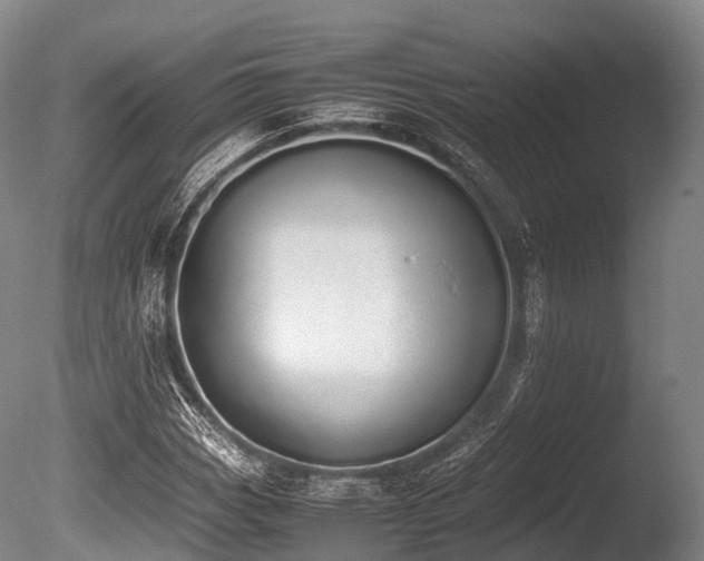 X0000086111113200703231454