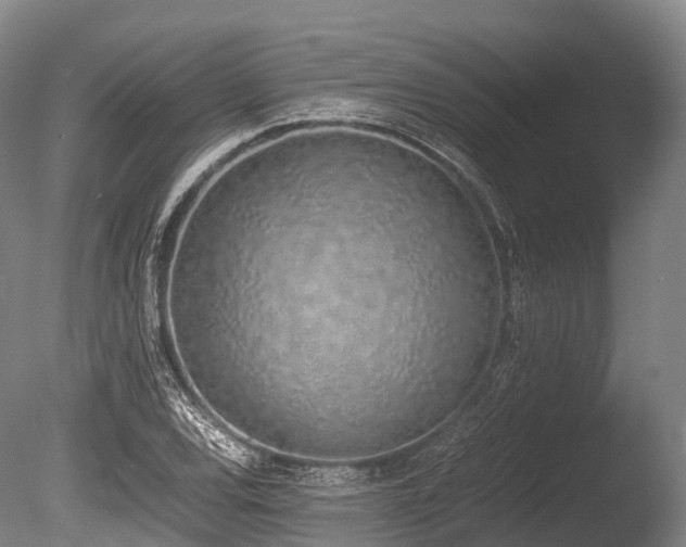 X0000086111120200703231454