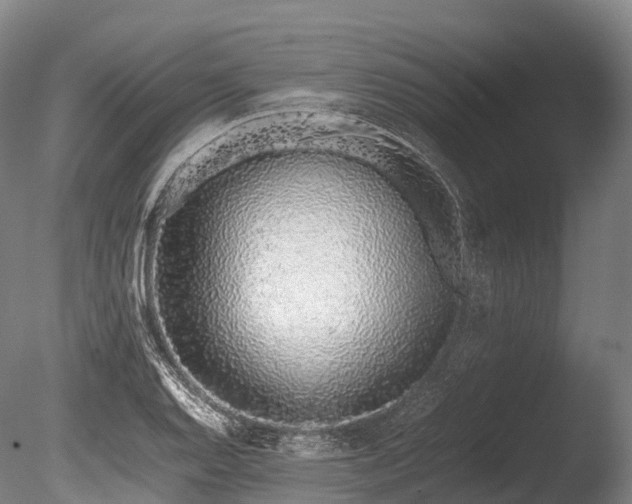 X0000086111128200703231454