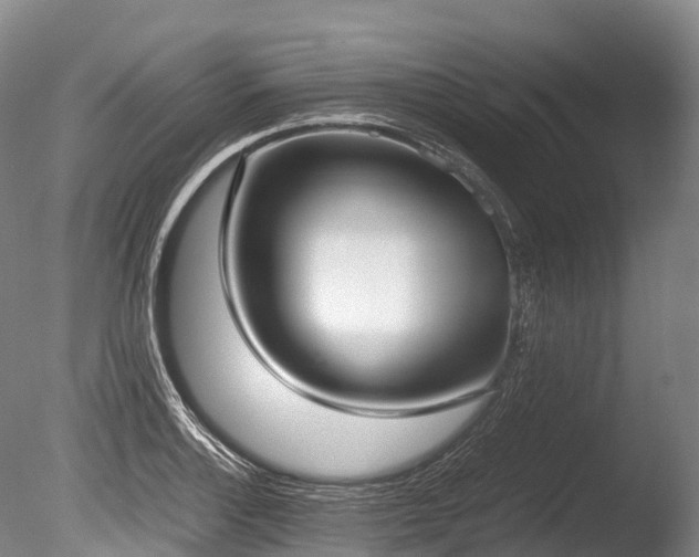 X0000086111132200703231454
