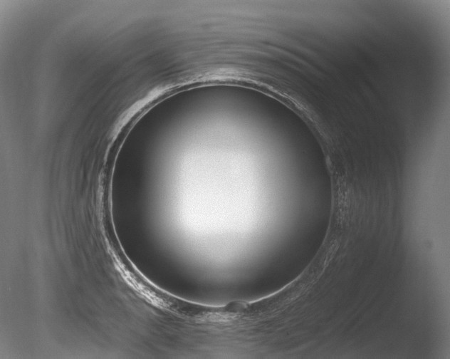 X0000086111134200703231454