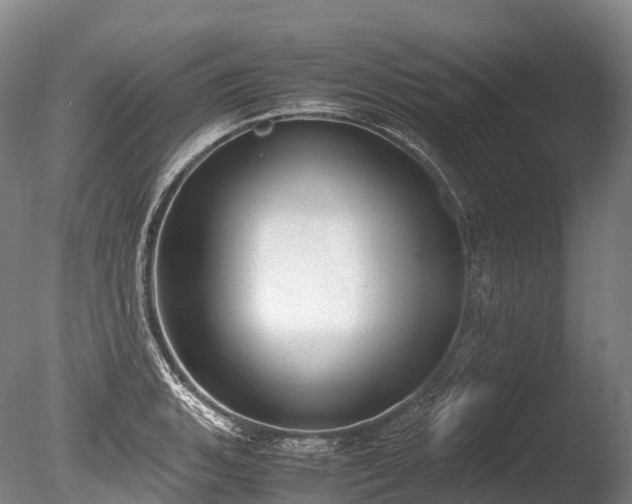 X0000086111135200703231454