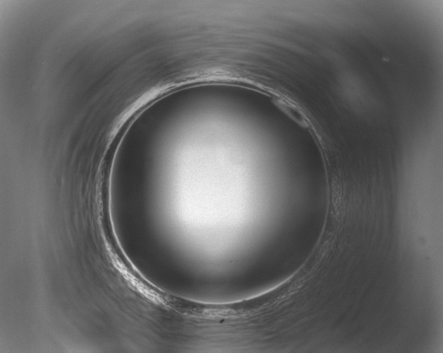 X0000086111142200703231454