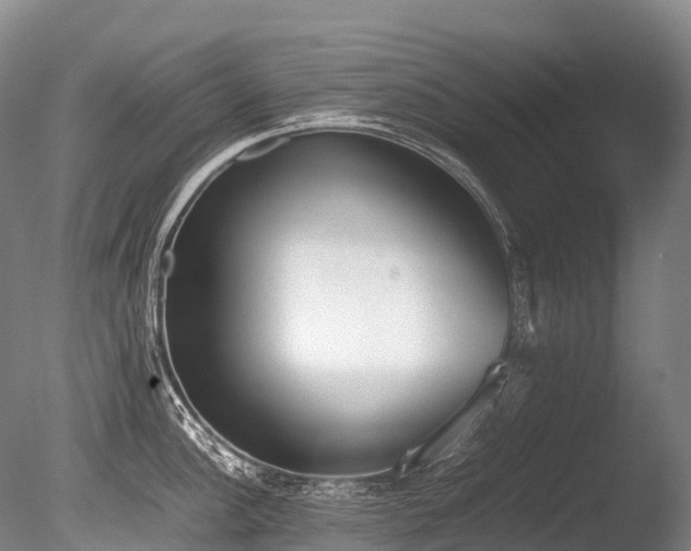 X0000086111148200703231454