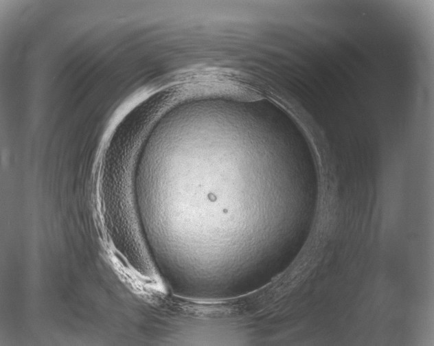 X0000086111152200703231454
