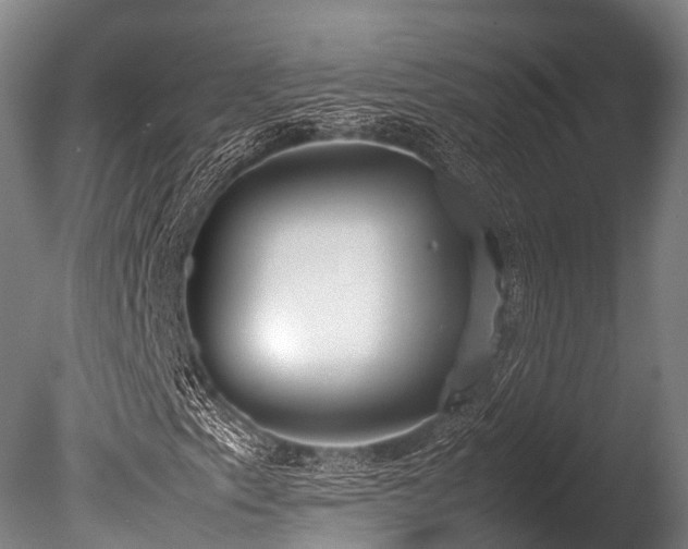 X0000086111153200703231454