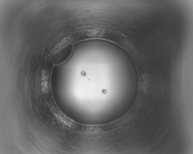 X0000086111154200703231454
