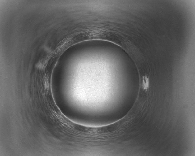 X0000086111155200703231454