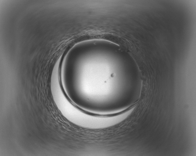 X0000086111157200703231454