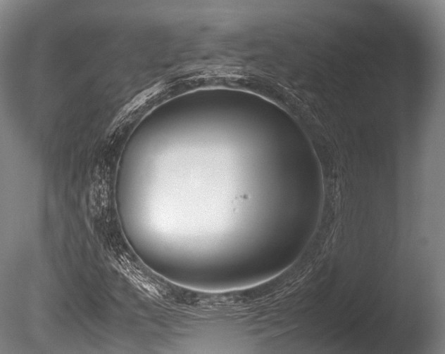 X0000086111159200703231453