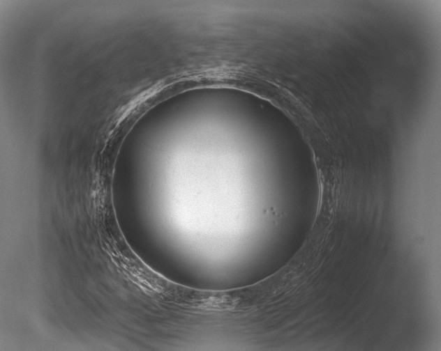 X0000086111160200703231453