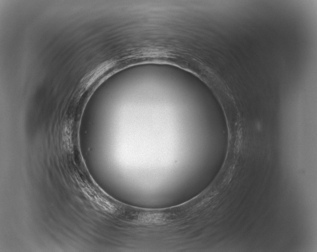X0000086111162200703231453