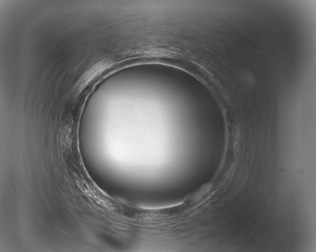 X0000086111163200703231453