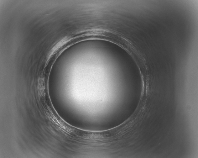 X0000086111164200703231453