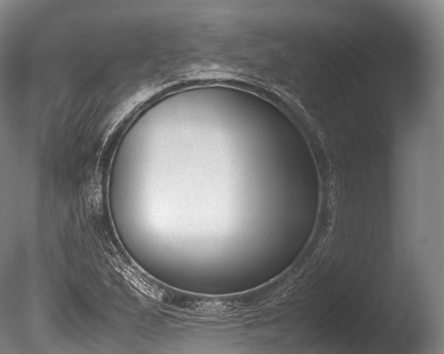 X0000086111167200703231453