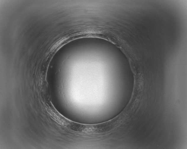 X0000086111169200703231453