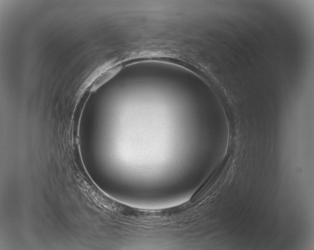 X0000086111173200703231453
