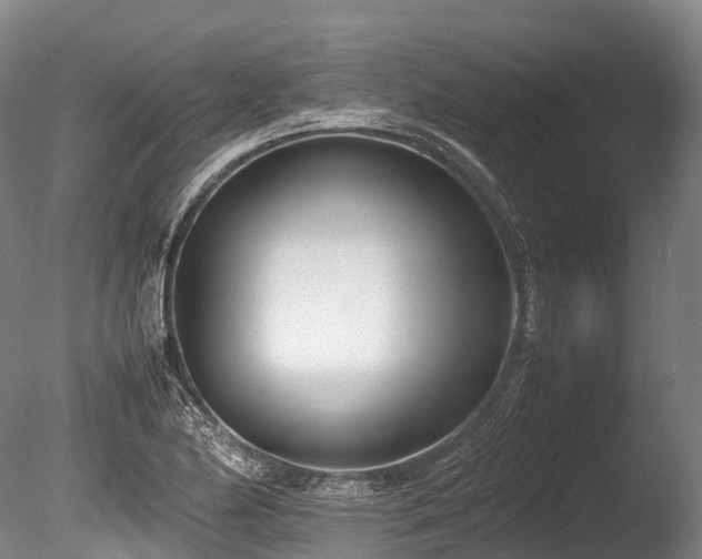 X0000086111174200703231453