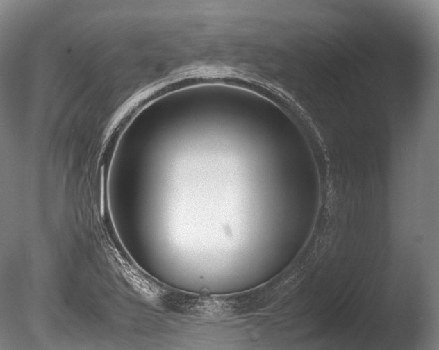 X0000086111175200703231453