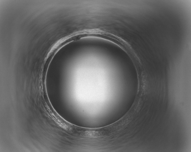 X0000086111176200703231453