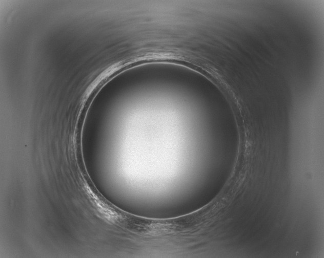 X0000086111181200703231453