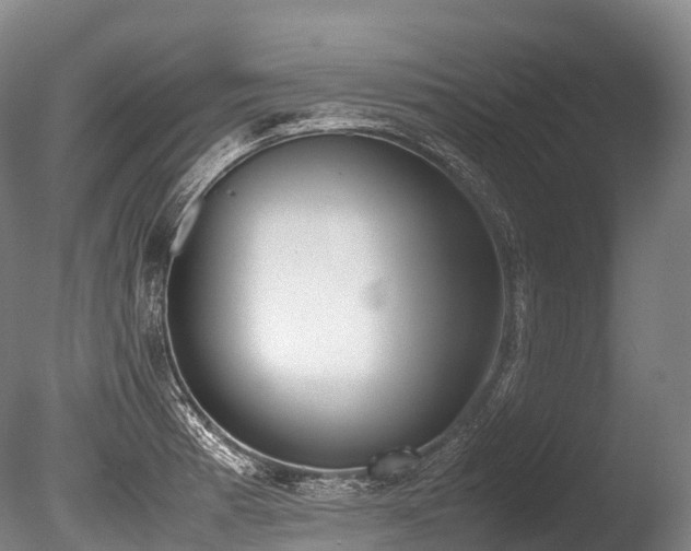 X0000086111185200703231453