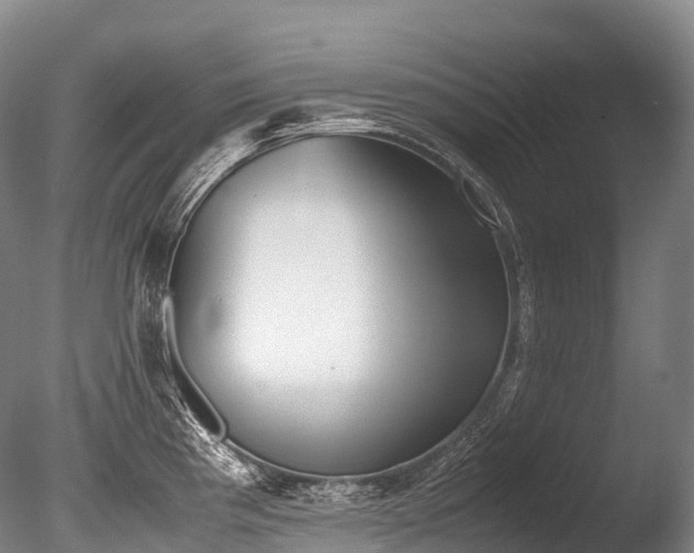 X0000086111193200703231453