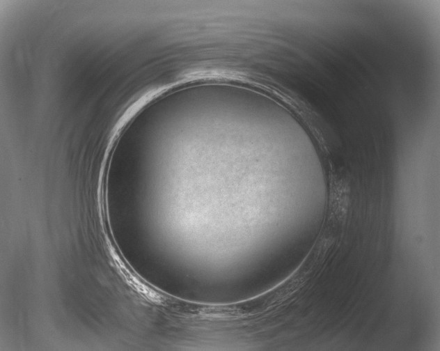 X0000086111199200703231453