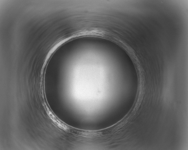 X0000086111200200703231453