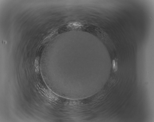 X0000086111203200703231452