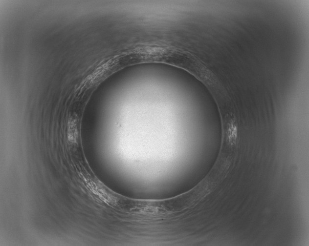 X0000086111204200703231452
