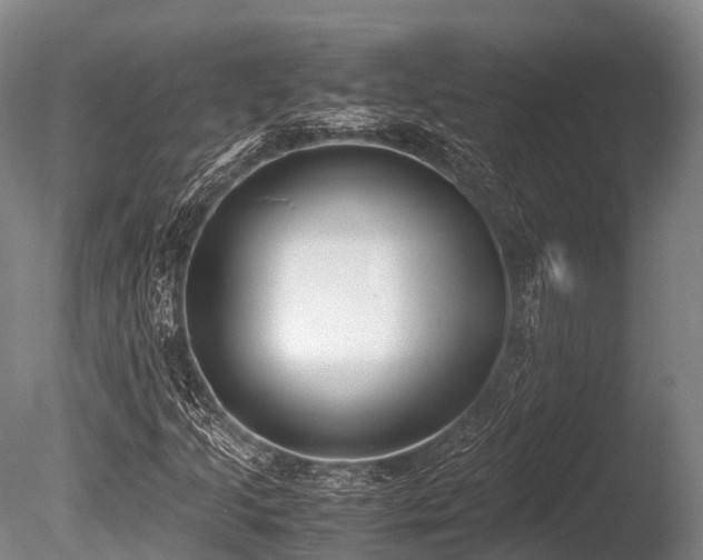 X0000086111205200703231452