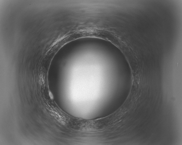 X0000086111206200703231452