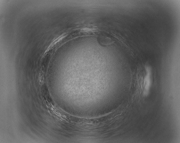 X0000086111207200703231452