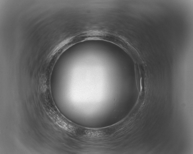 X0000086111213200703231452