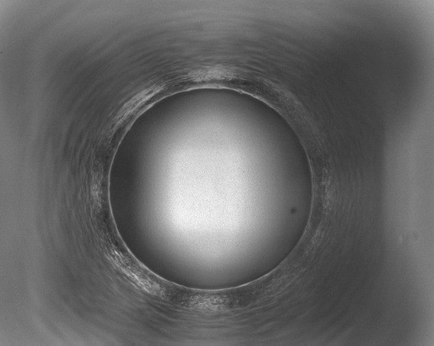 X0000086111217200703231452