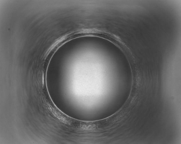 X0000086111221200703231452