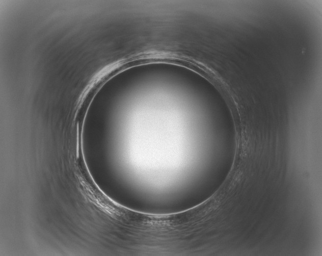 X0000086111223200703231452
