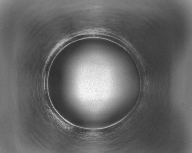 X0000086111224200703231452