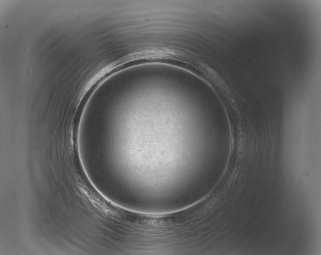 X0000086111226200703231452