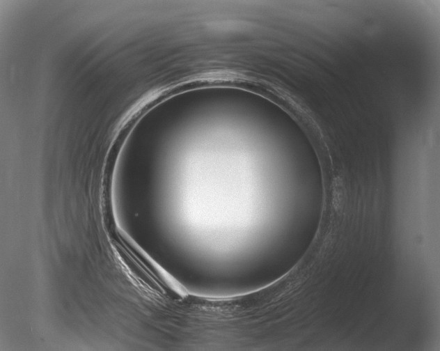 X0000086111229200703231452
