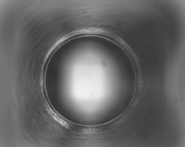 X0000086111232200703231452