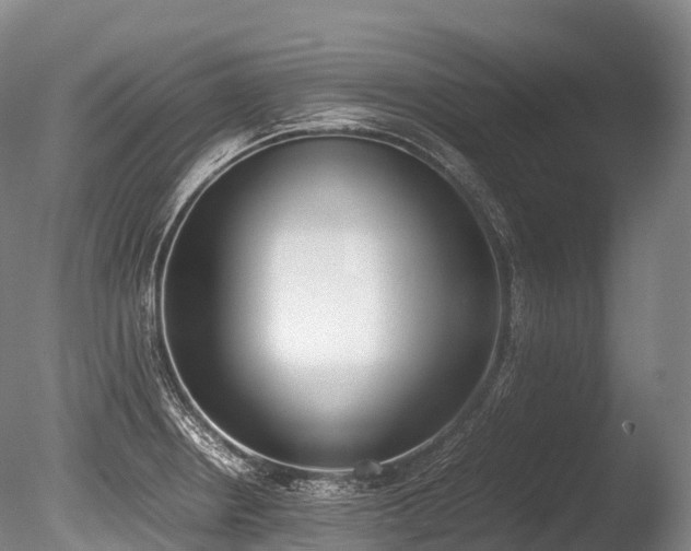 X0000086111234200703231453