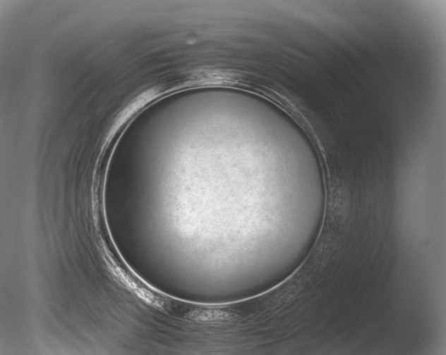 X0000086111235200703231453