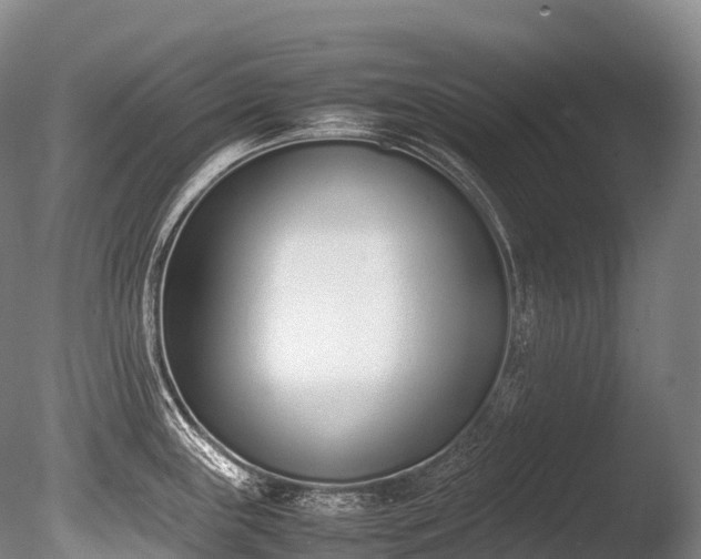 X0000086111243200703231453
