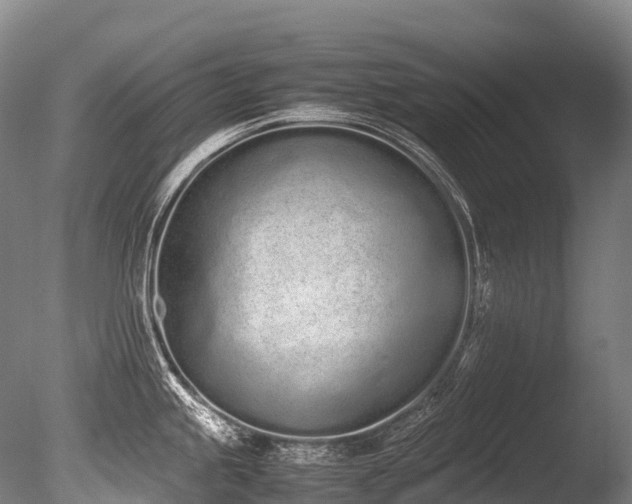 X0000086111245200703231453