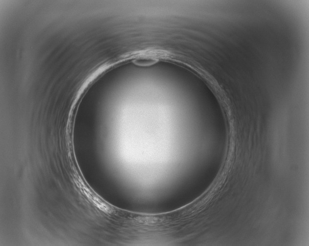 X0000086111248200703231453