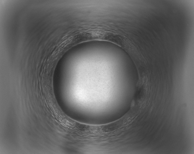 X0000086111249200703231452