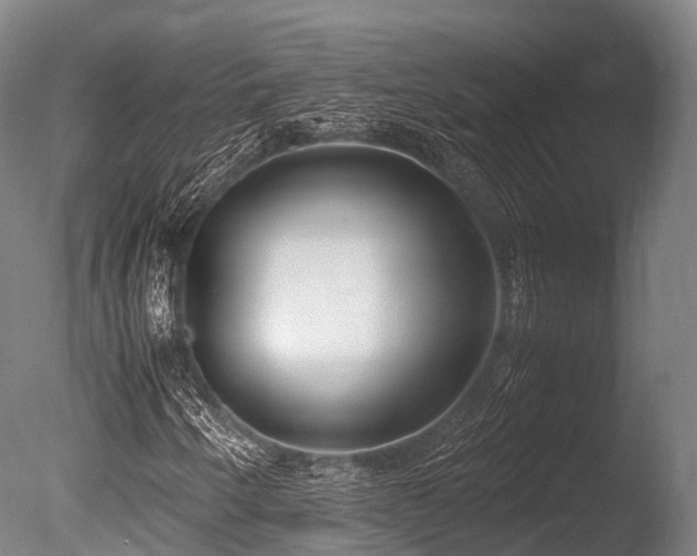 X0000086111250200703231452